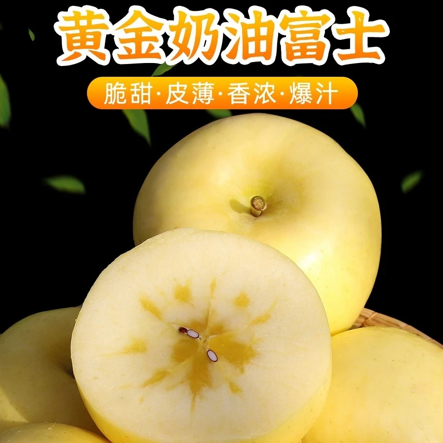 X山东烟台黄金奶油富士苹果脆甜新鲜采摘水带箱5斤包邮农产品精选