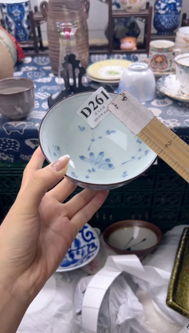 瓷片针*    D261