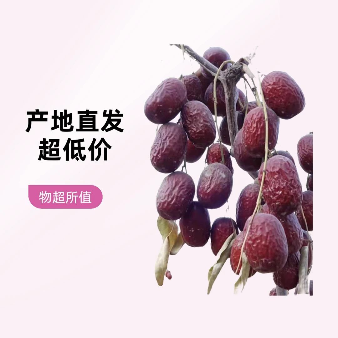 2024年新货新疆带土灰枣自然吊干助农居家旅行干果零食