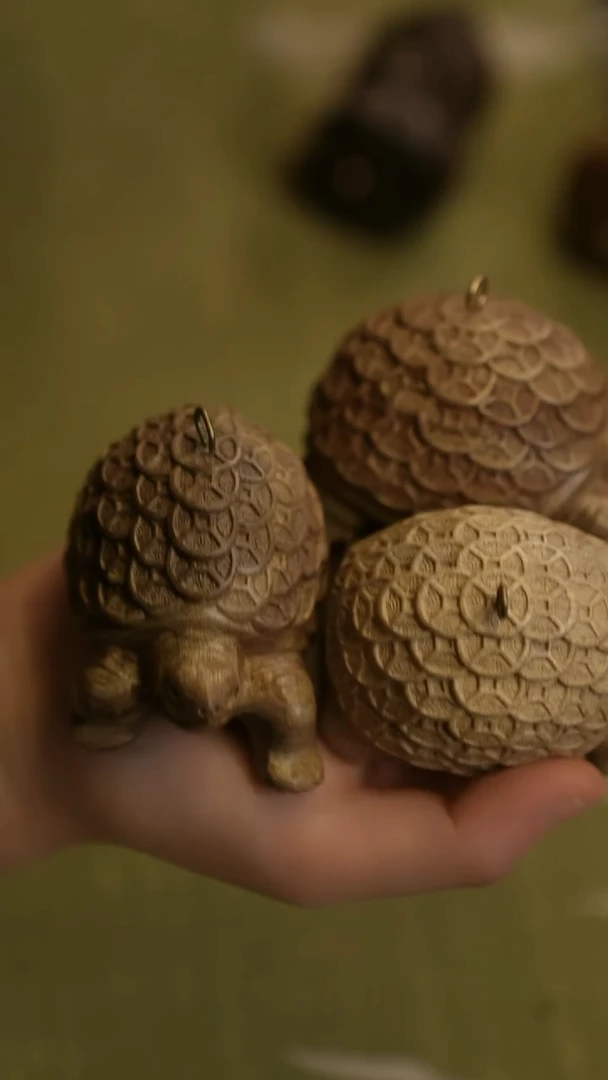 金丝楠其他金丝楠木龟龟