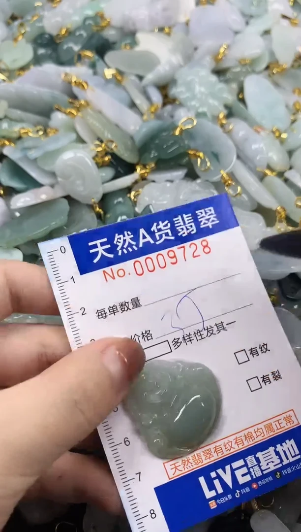 颈饰未镶嵌翡翠天然A货翡翠