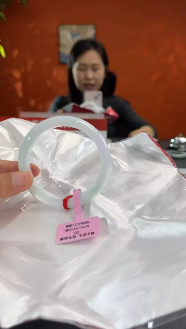 未镶嵌手镯翡翠9   53