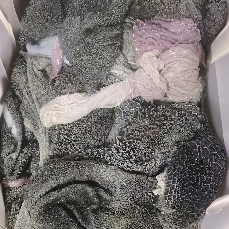 非清洗羊肚顺丰包邮十斤清真新鲜生羊肚