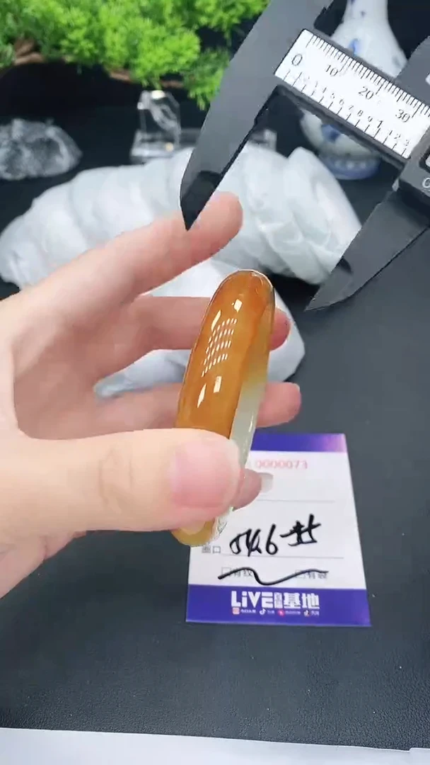 未镶嵌手镯翡翠73