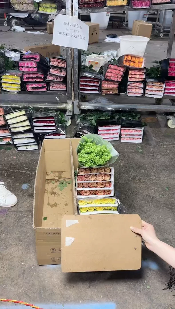 黄玫瑰20+卡布奇诺20+绿铃草+基地直发鲜花20%不售后