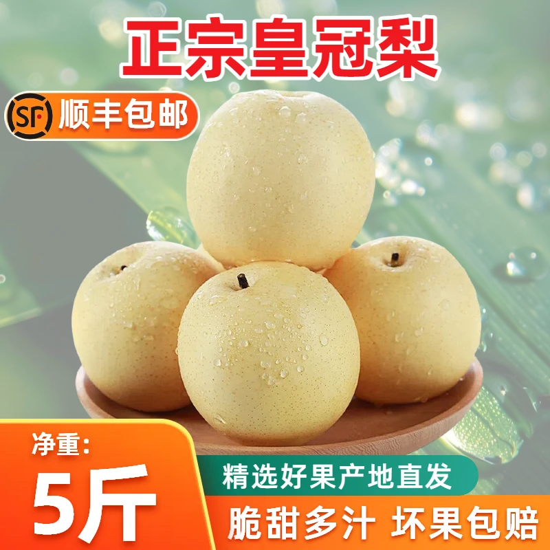 【顺丰空运】9斤皇冠梨夏季水果脆甜多汁当季新鲜梨子整箱批发雪梨