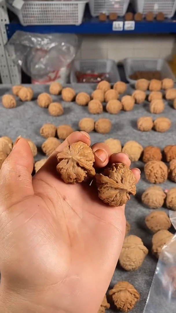 吊坠文玩核桃✨****✨35野狼全品