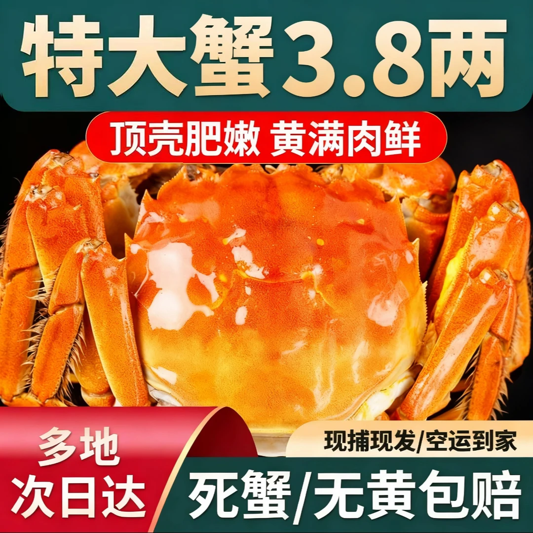 顺丰鲜活河蟹现货大闸蟹3.8两特大母蟹2-10只生态螃蟹水产海鲜礼