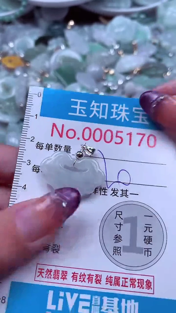 翡翠未镶嵌吊坠(不含链)5170