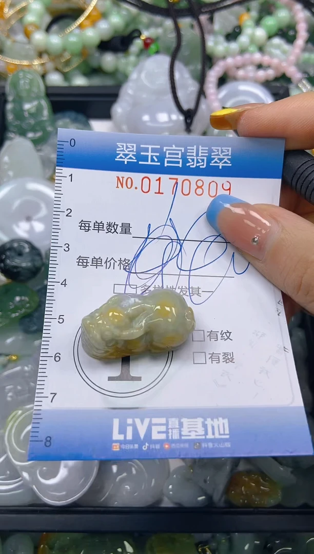 翡翠未镶嵌颈饰闪购0170809