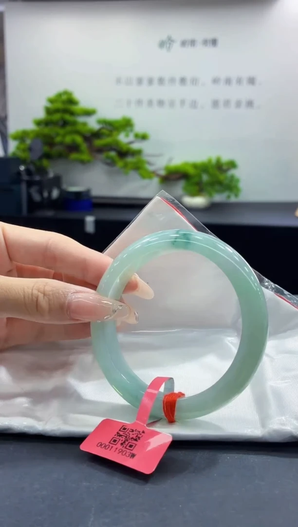 未镶嵌手镯翡翠7
