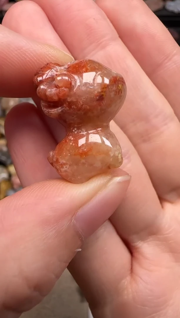 硅化珊瑚（珊瑚玉）未镶嵌颈饰574