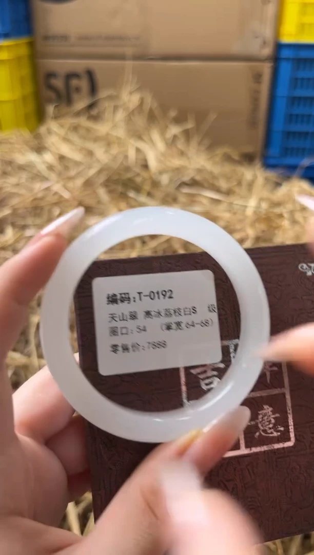 未镶嵌手镯石英质玉T-0192
