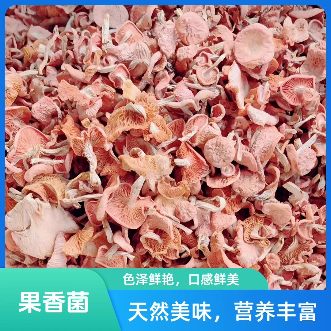 云南土特产 农家现收山货 干货果香菌果味菌 香味浓郁 煲汤菌菇