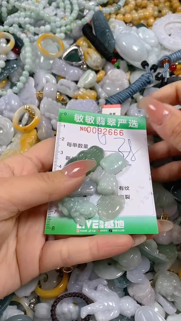 【闪购商品】翡翠颈饰未镶嵌闪购0092666