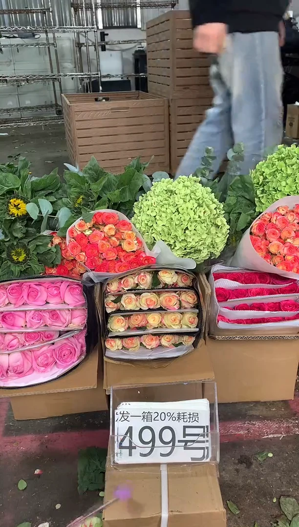 499号♥含20%耗损发一箱