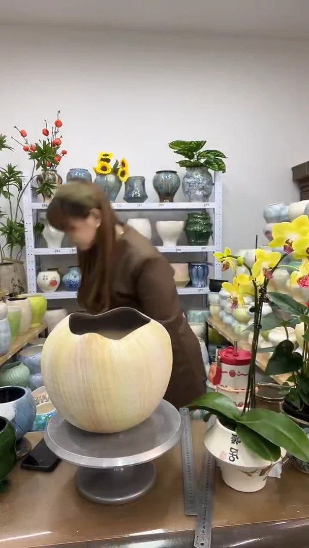 11.23陶瓷花盆直播链接高.     24口19