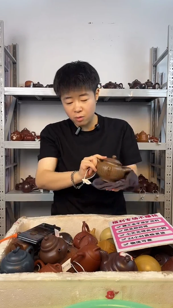 茶壶紫砂龙背青刻绘莲子掇只(3)