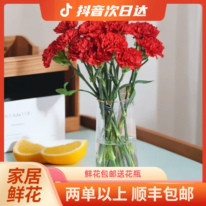『红色康乃馨』单头康乃馨10支 全场任意满两单及以上 顺丰鲜花包邮
