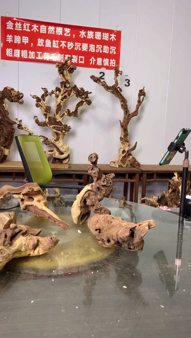 【闪购商品】香榧木枯树摆件 粗磨粗加工半成品 毛料