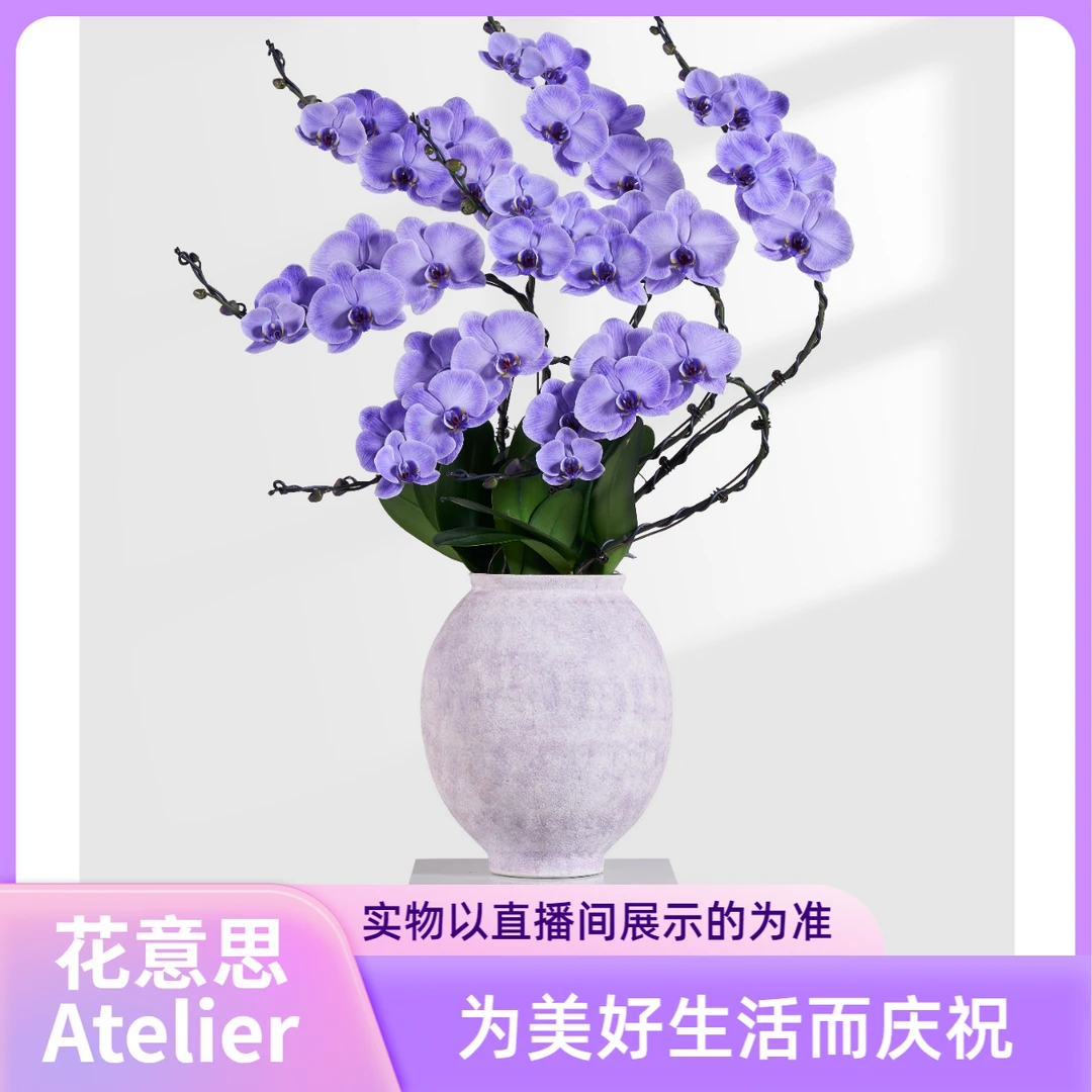 花意思【1980链接】兰花室内蝴蝶兰艺术盆景一物一拍-客厅玄关公司