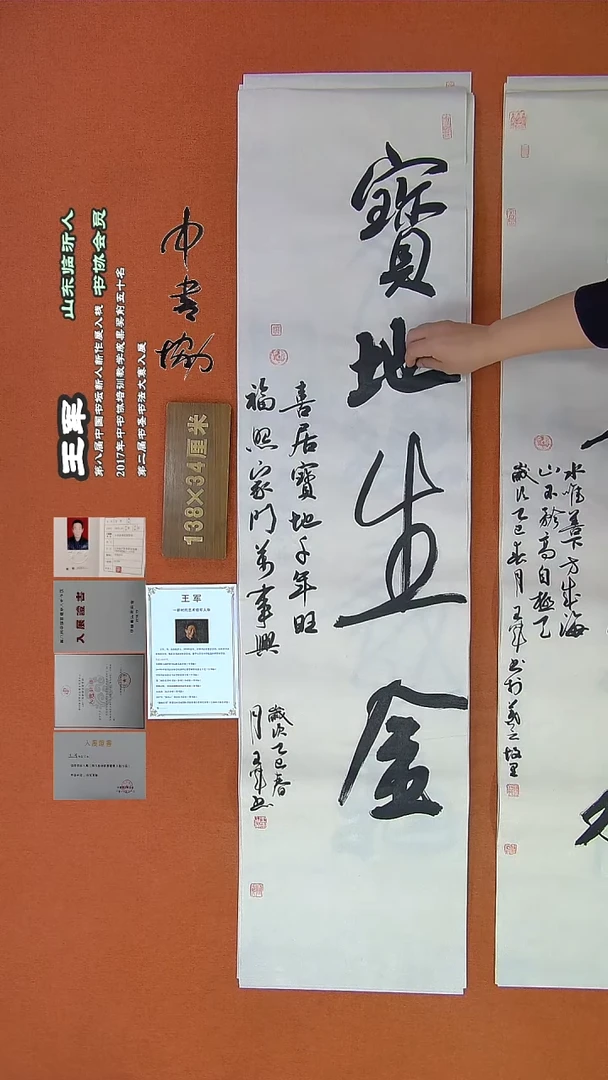 【闪购商品】书法533王军书法作品