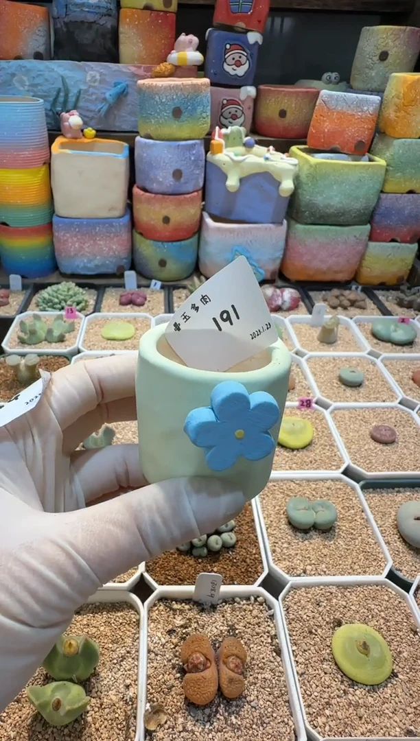 【闪购商品】25.1.25-191