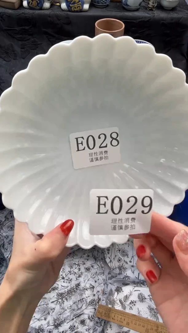 瓷片可***皮       E028