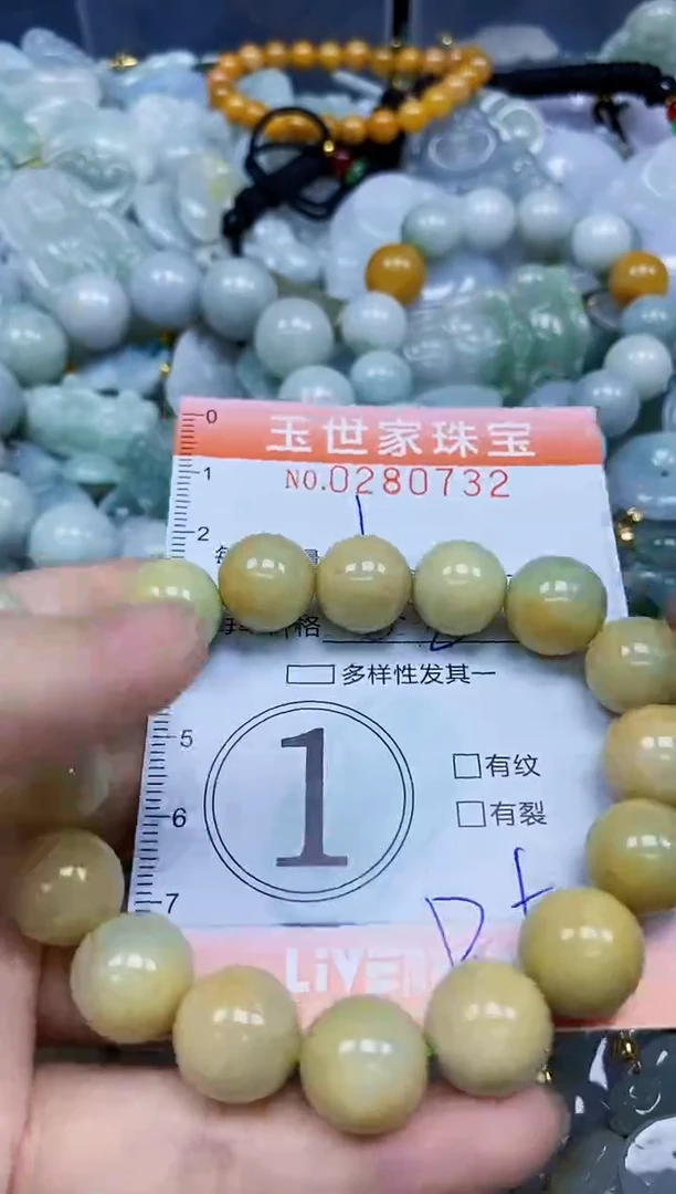 翡翠未镶嵌颈饰闪购0280732