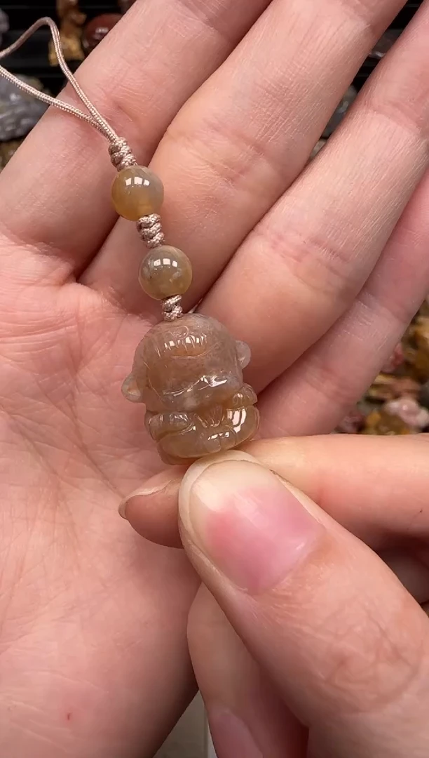 硅化珊瑚（珊瑚玉）未镶嵌颈饰727