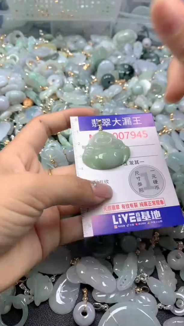 颈饰未镶嵌翡翠7945