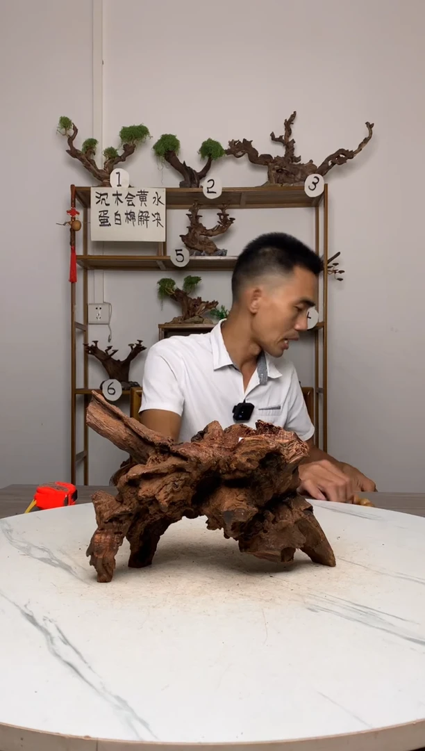 ?****数鱼缸造景沉木摆件
