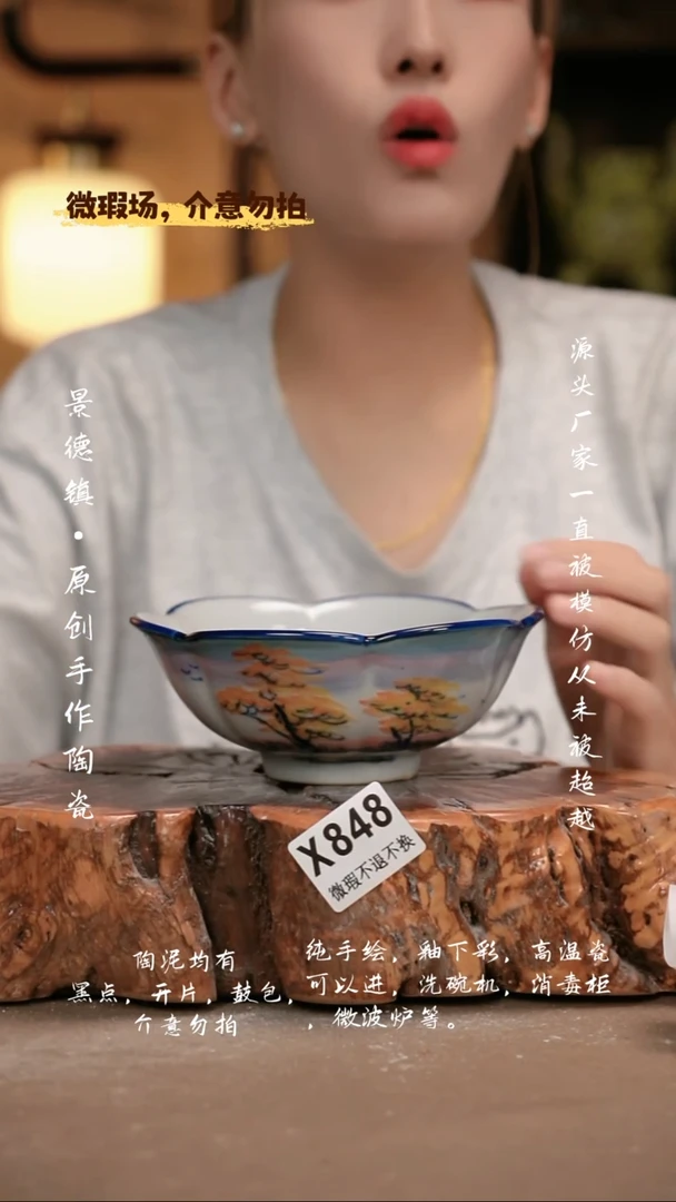 其他WX848新十二器
