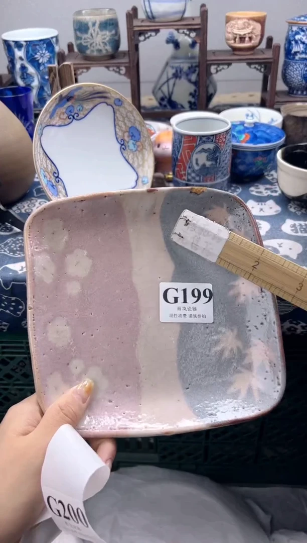 瓷片?***克   G199