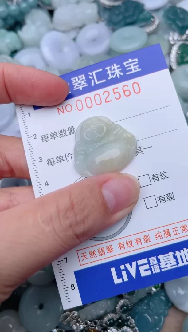 翡翠未镶嵌颈饰2560........1