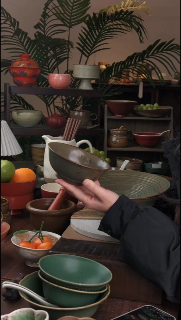 碗景德镇手工高温餐具春盛圆口