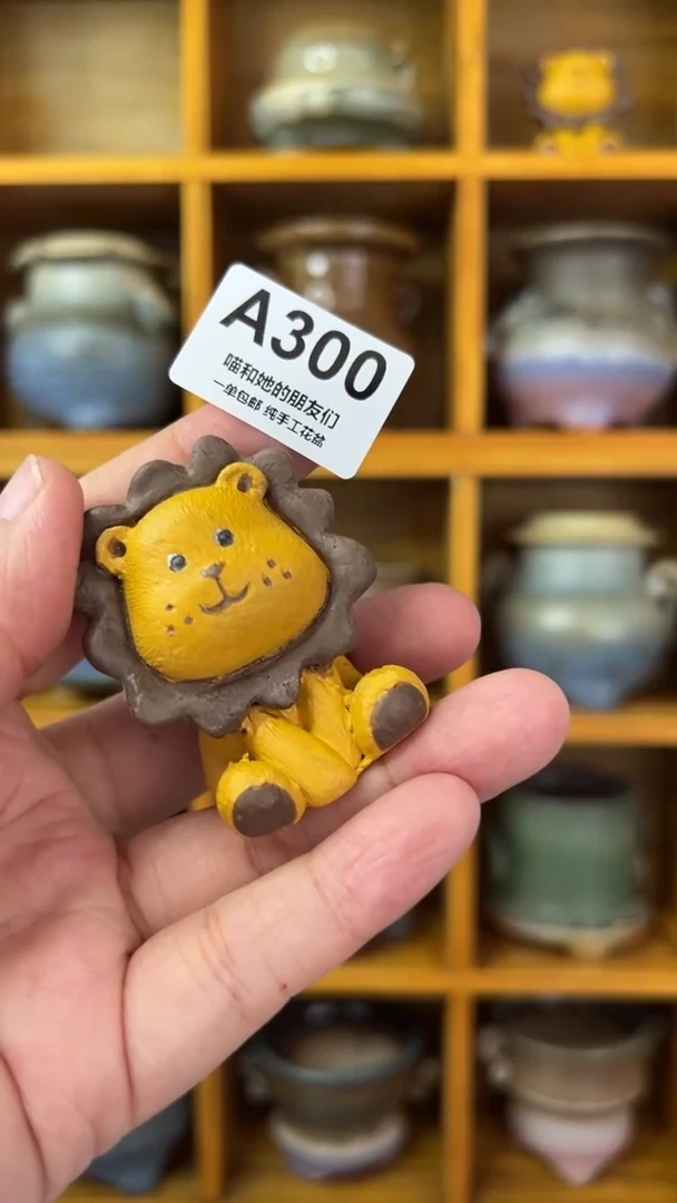 W***e300【多肉花盆多肉盆】