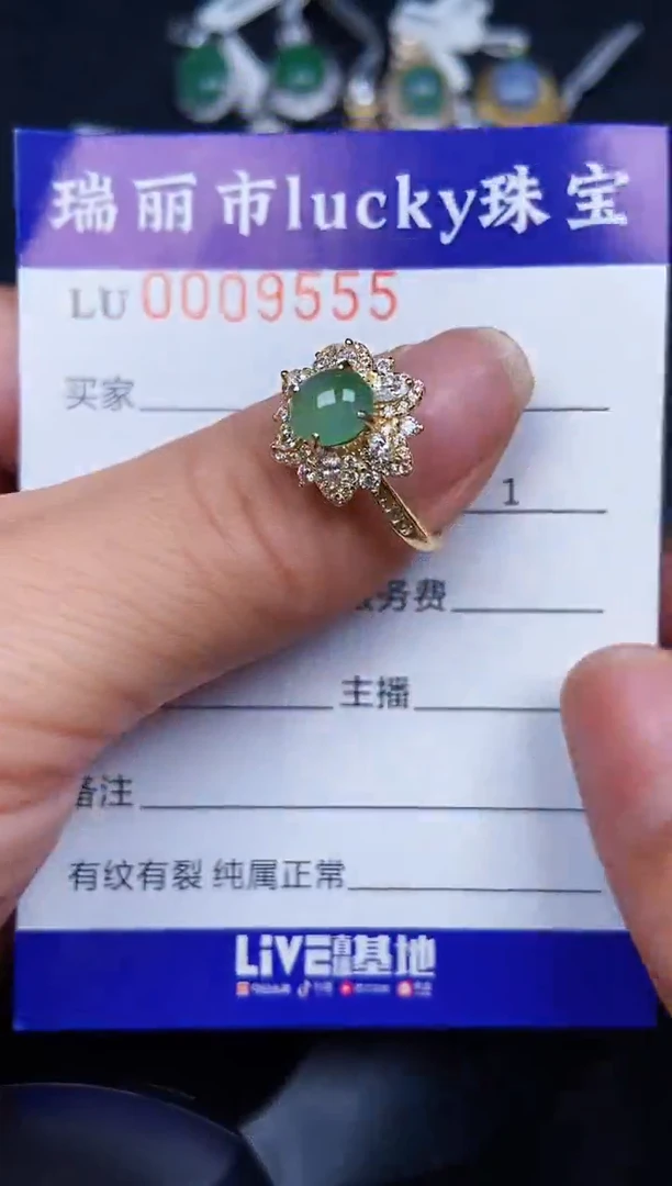 翡翠银S925镶嵌颈饰9555