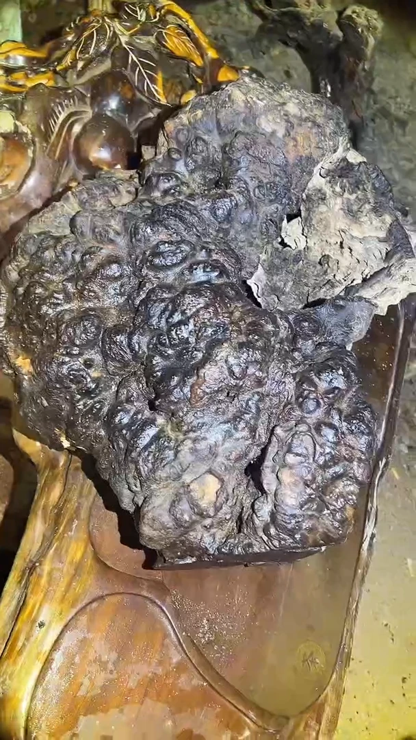 木一物一拍以实物为准