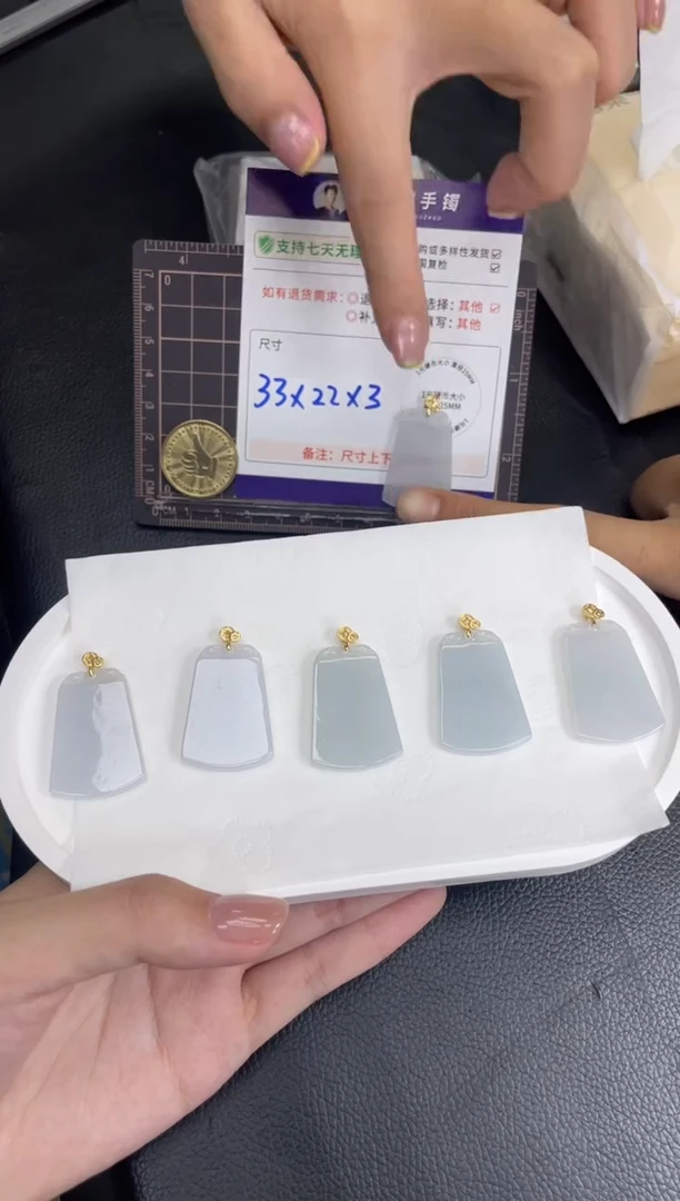 颈饰银S925镶嵌翡翠无事牌FL6配绳/多样性发其一CP