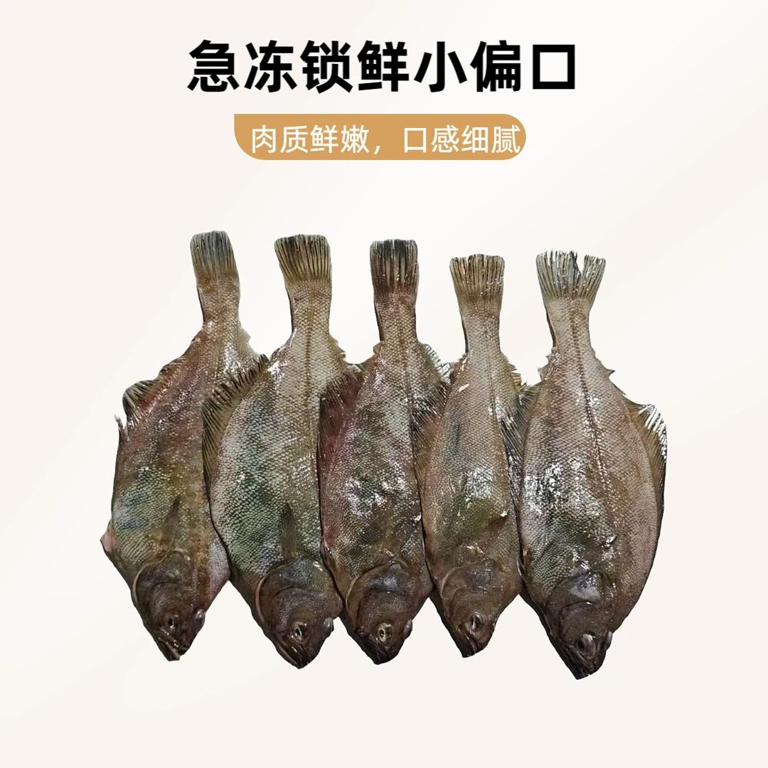 5斤刚靠岸野生小偏口鱼（长脖鱼）肉质鲜美急冻锁鲜