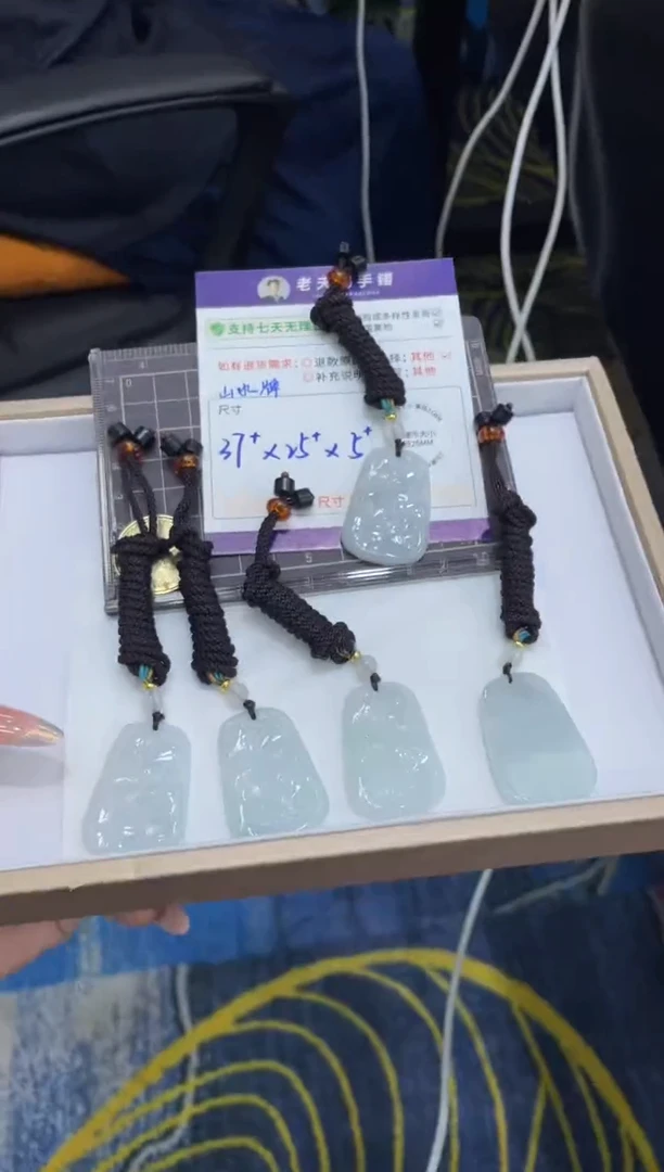 未镶嵌挂件翡翠山水牌FL3/多样性发其一CP配绳