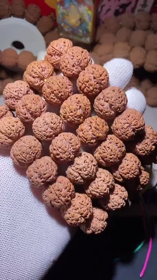 【闪购商品】金刚菩提手串平头矮桩粗筋梅花20