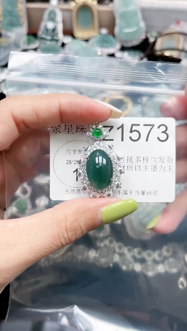 【闪购商品】翡翠颈饰未镶嵌赠皮绳1573