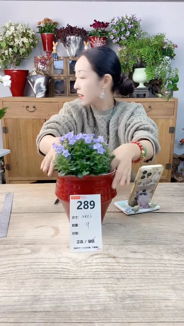 小玩子花盆直播号289