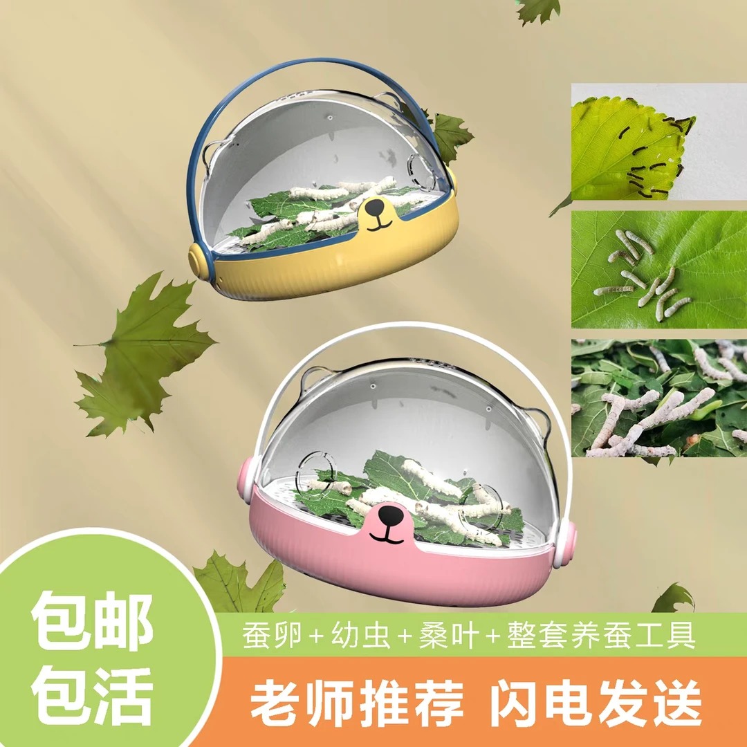 蚕宝宝学生养蚕套装蚕卵蚕宝宝别墅观察饲养盒太空舱新鲜桑叶喂蚕