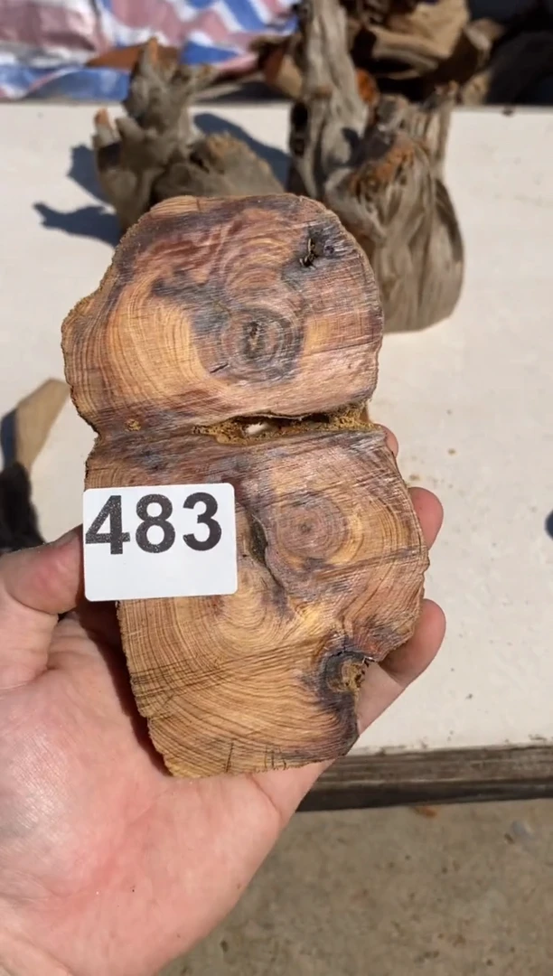 柏木（崖柏）太行陈化崖柏切片一块（津诚林）483
