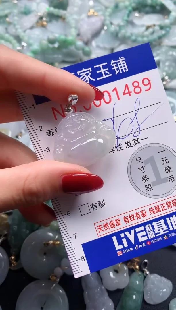 颈饰未镶嵌翡翠1489