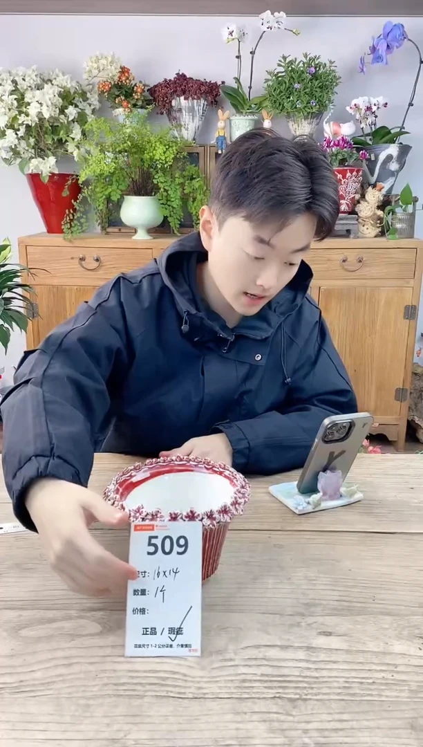 小玩子花盆直播编号509