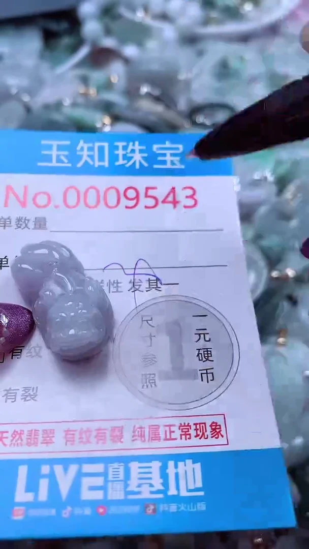 翡翠未镶嵌吊坠(不含链)9543